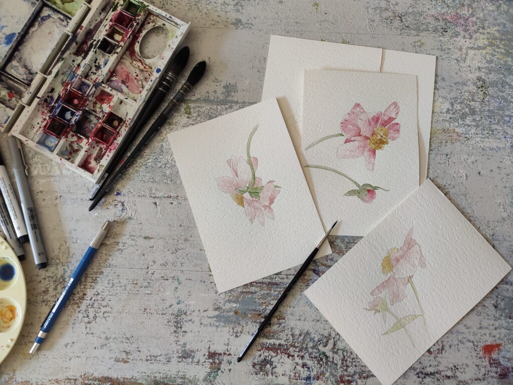 serie di fiori ad acquerello